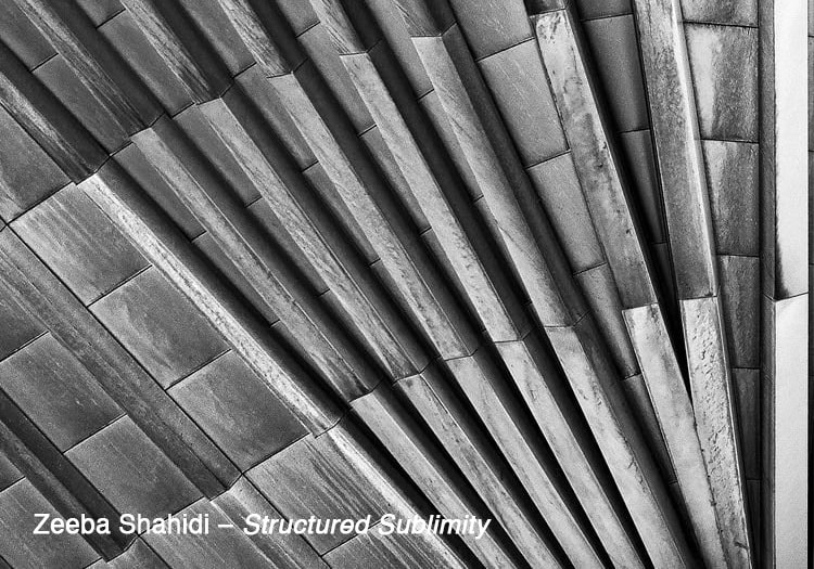 2024-HSC-Artworks-Shahidi-Zeeba-Selection