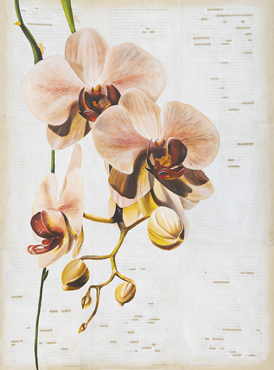 Chamberlain_Michaela-2