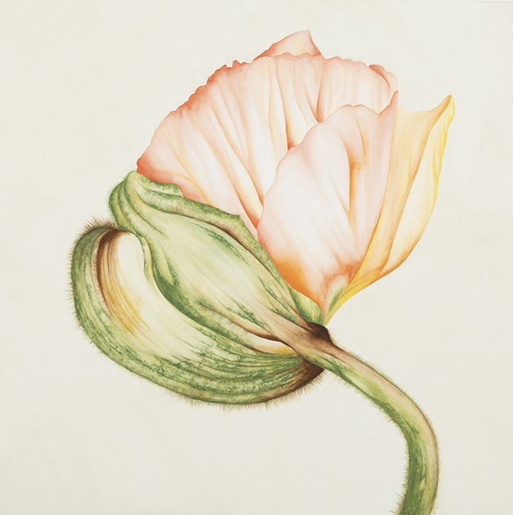 Selden_Mika-1