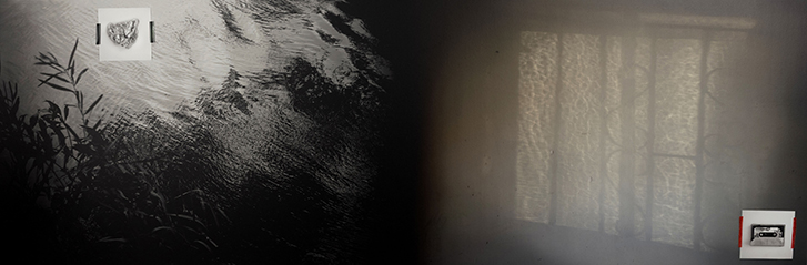 Wong_Alastrina-1