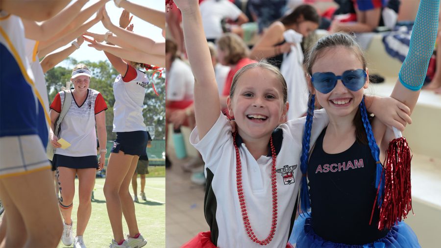 Alex article_hero website