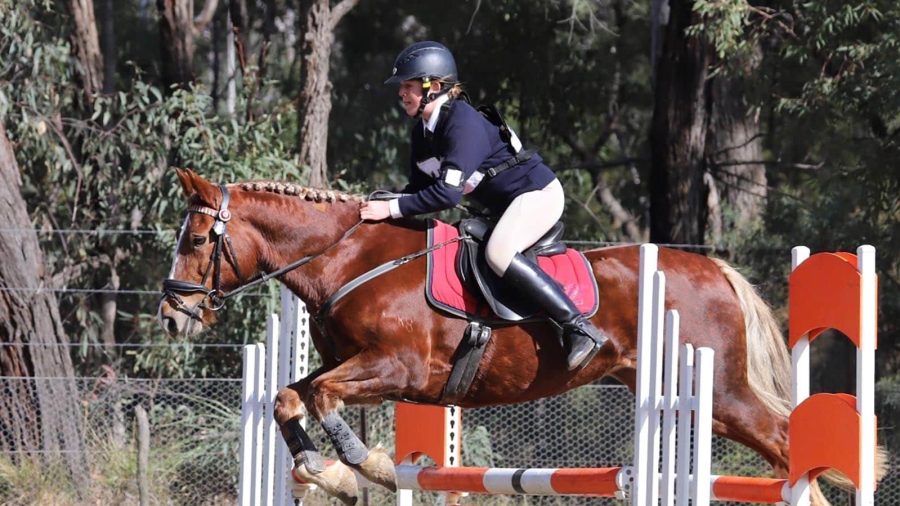 Coona-2022_website-hero