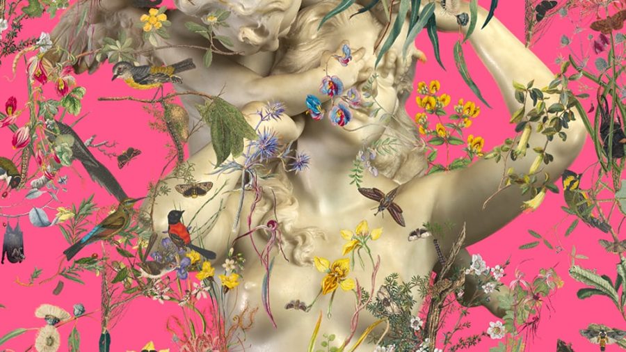 FallenFruit-Hero-1000x800-1