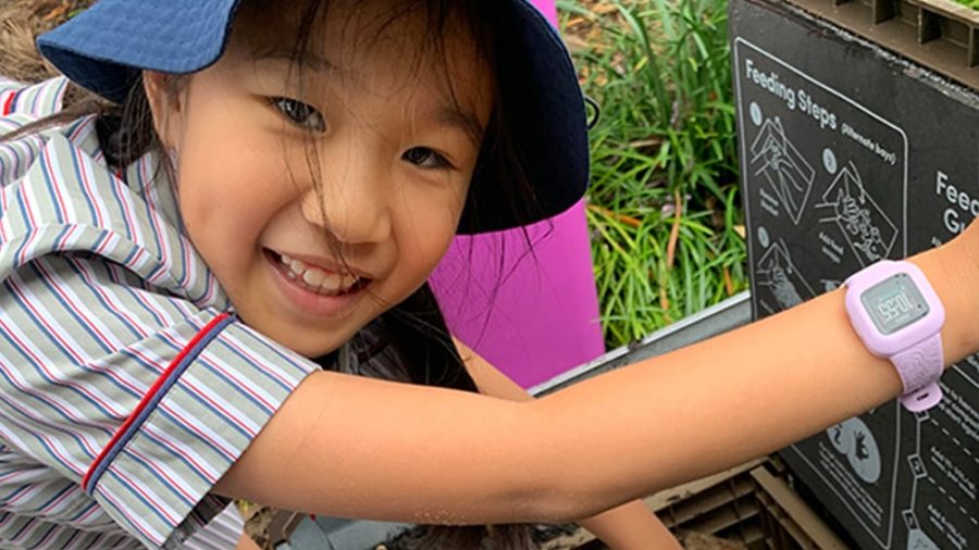 FionaVeggieGarden_Hero