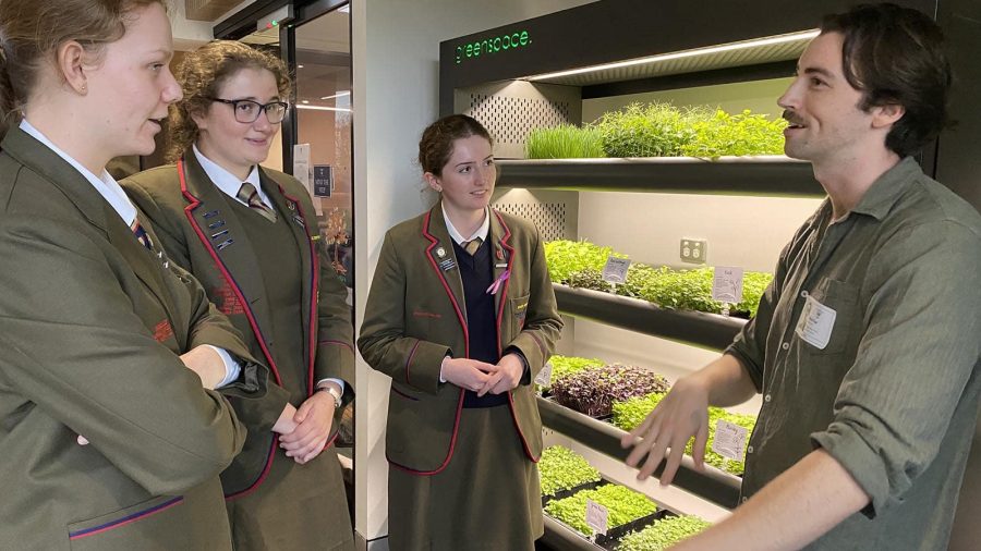 Greenspace_website hero