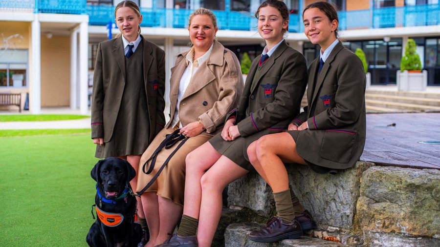 Guide Dogs article_website hero_crop