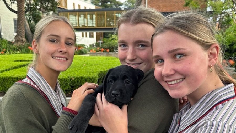 Image_A-Very-Special-Partnership