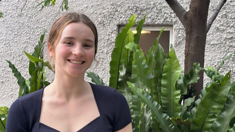 Image_Sage-Advice-for-New-Boarders