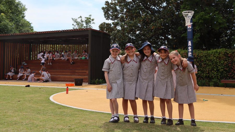 New Fiona Playground_website hero