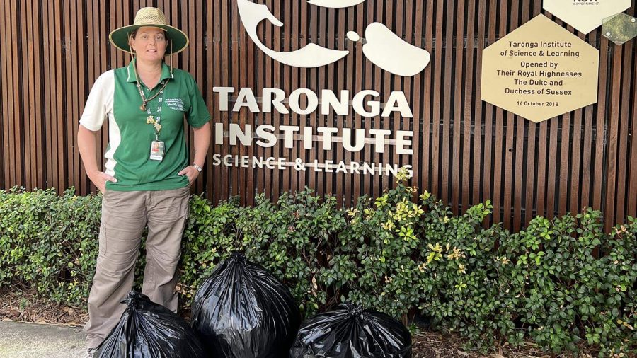 Sally Wolifson_sustainability_website