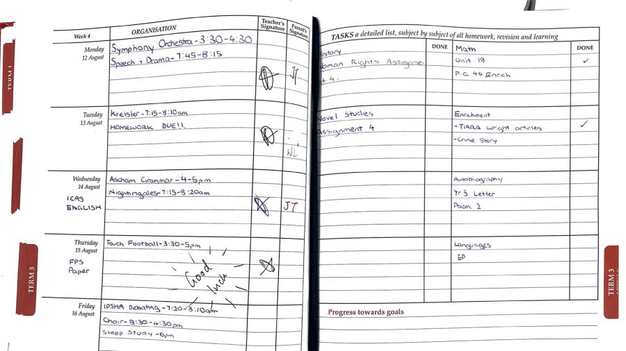 Y6 Diary Example_website hero